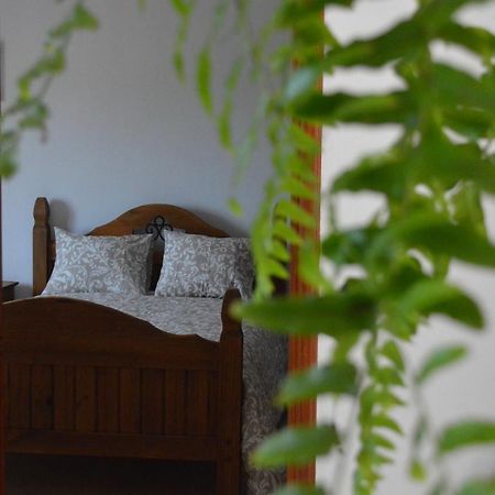 Casa Las Pardelas Icod De Los Vinos Dış mekan fotoğraf