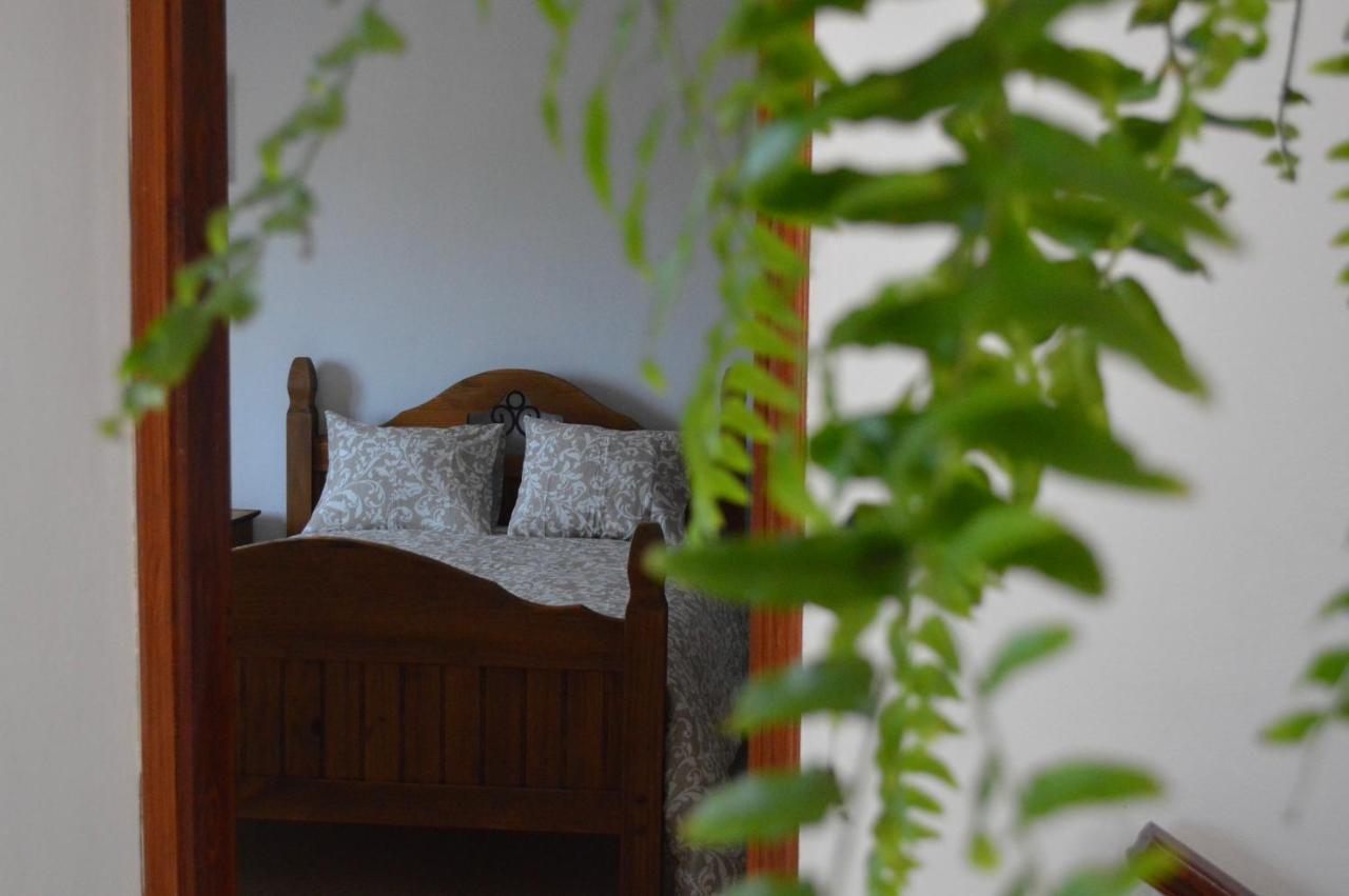 Casa Las Pardelas Icod De Los Vinos Dış mekan fotoğraf